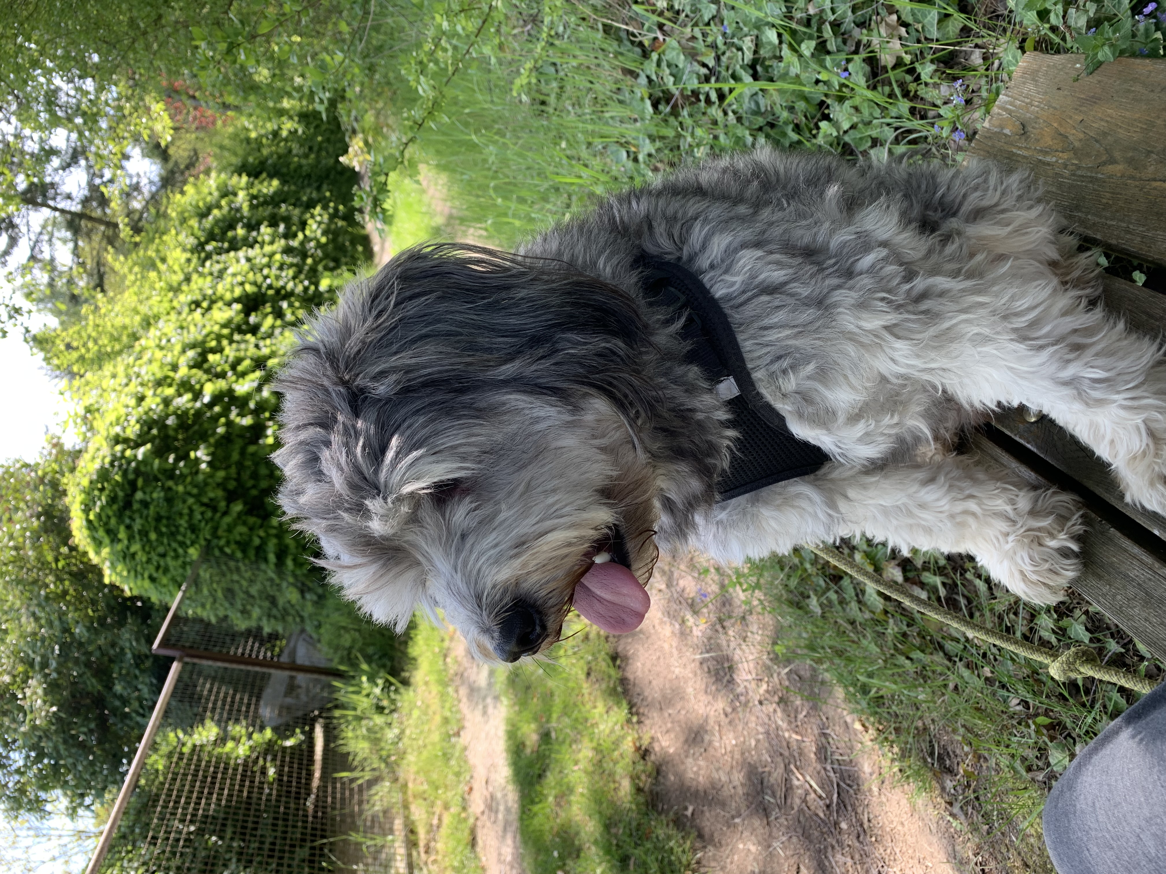 Heidemarie - Platinum