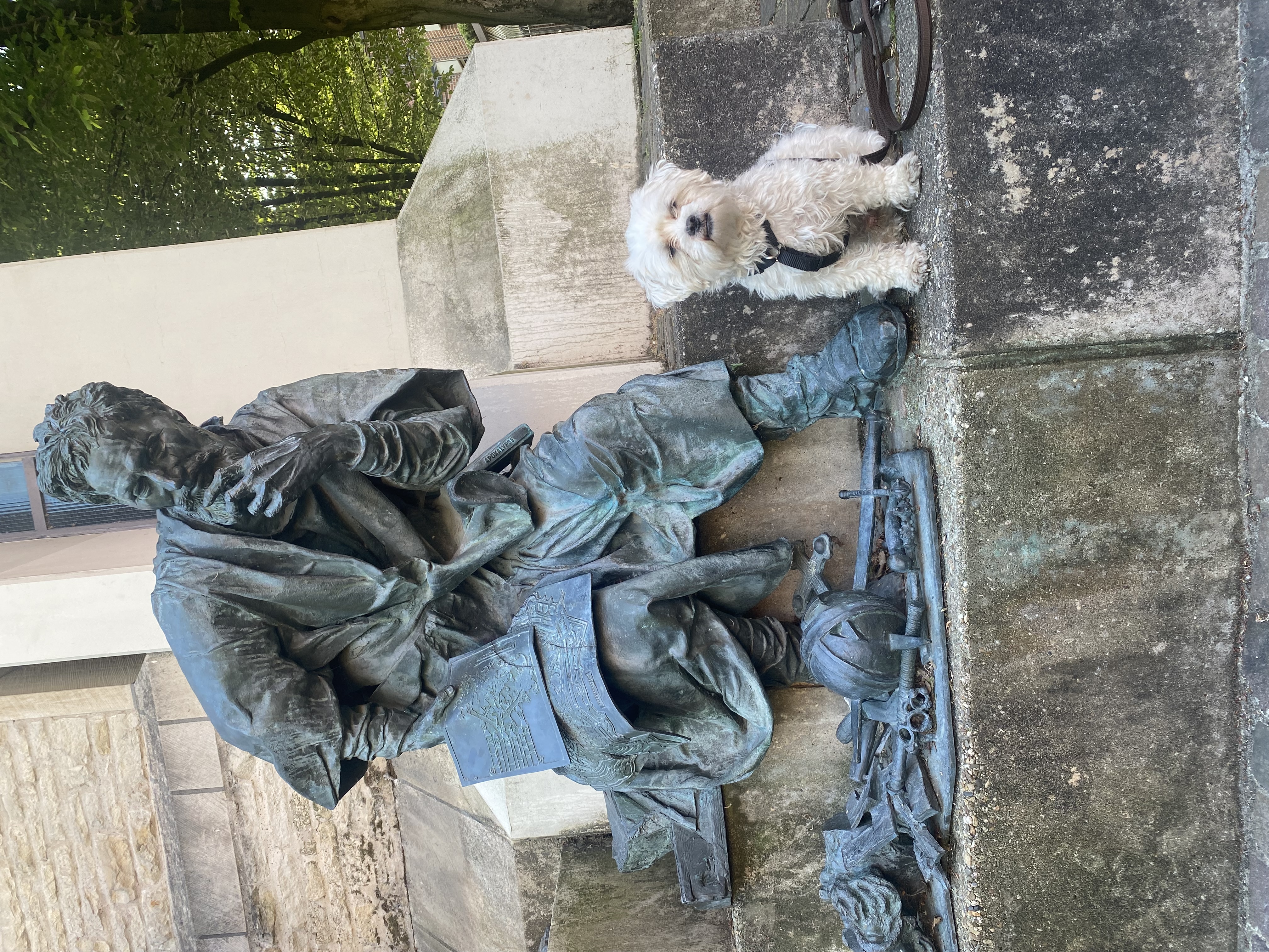 Kimberly - Wolfsblut