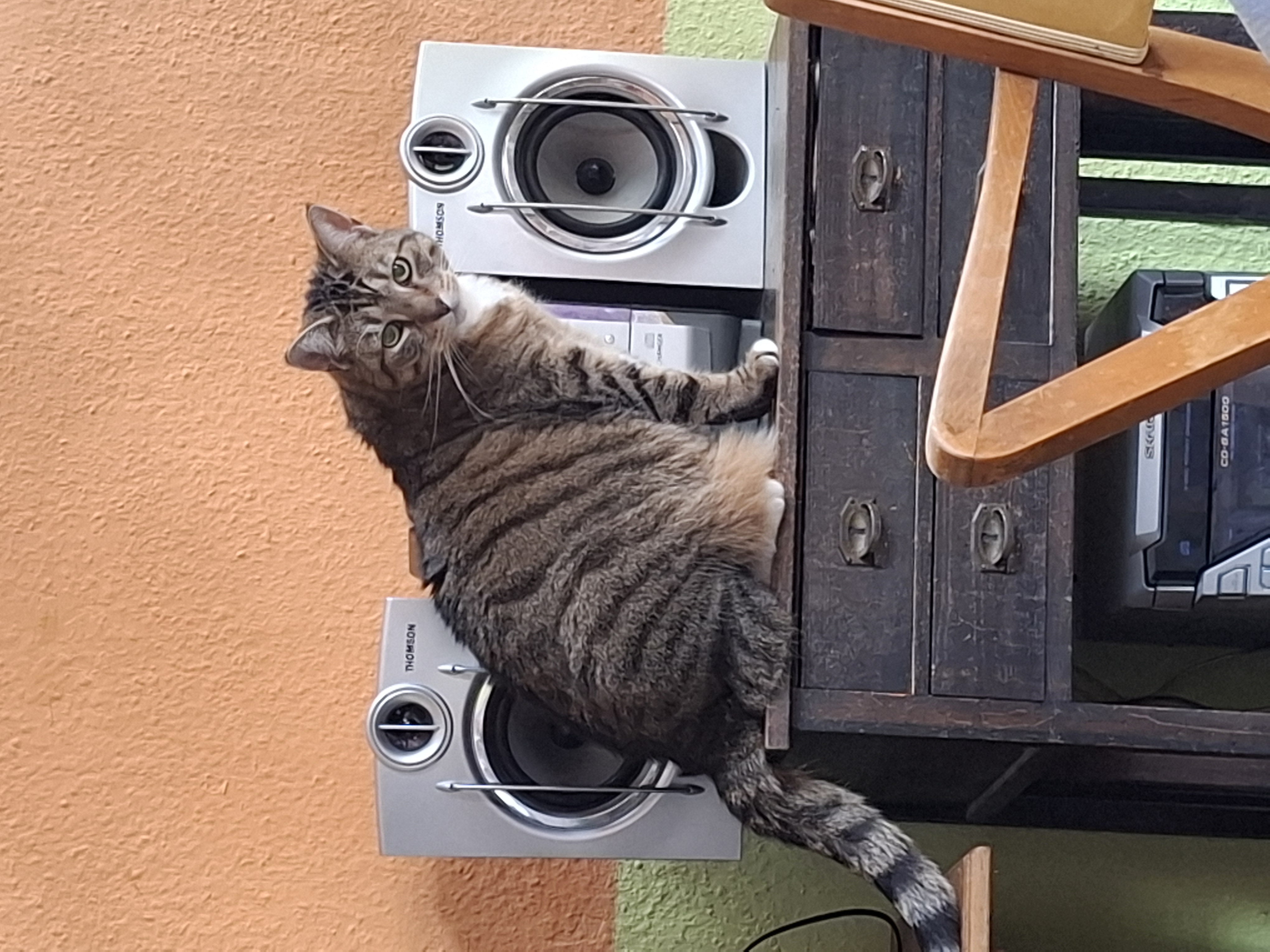 Kerstin - Wildes Land