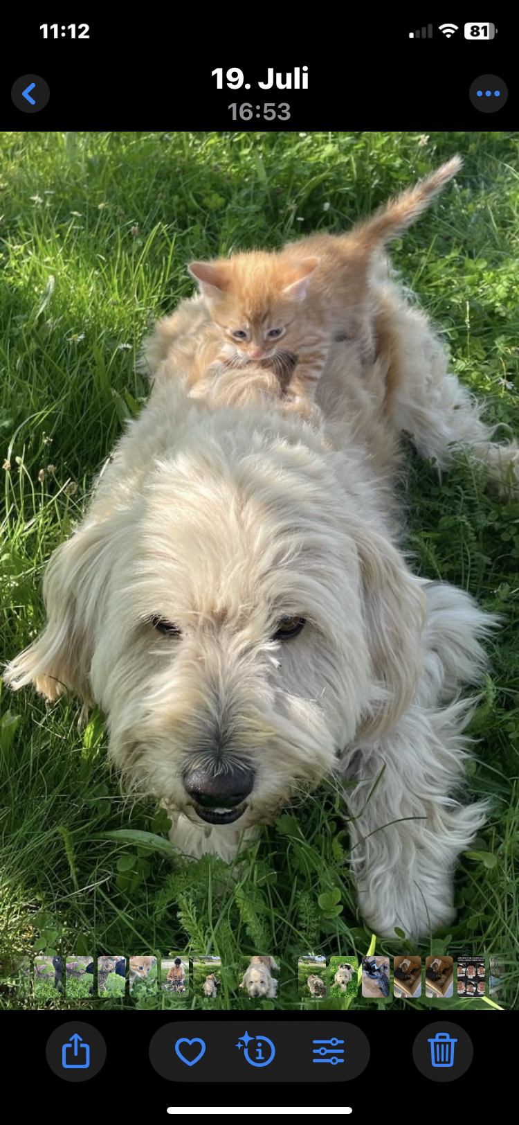 Denise - THE GOODSTUFF