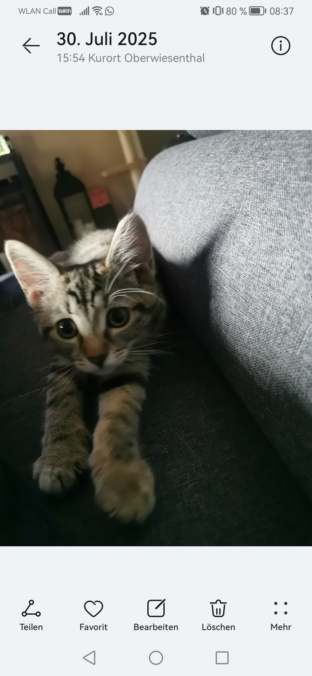 Christian - Happy Cat