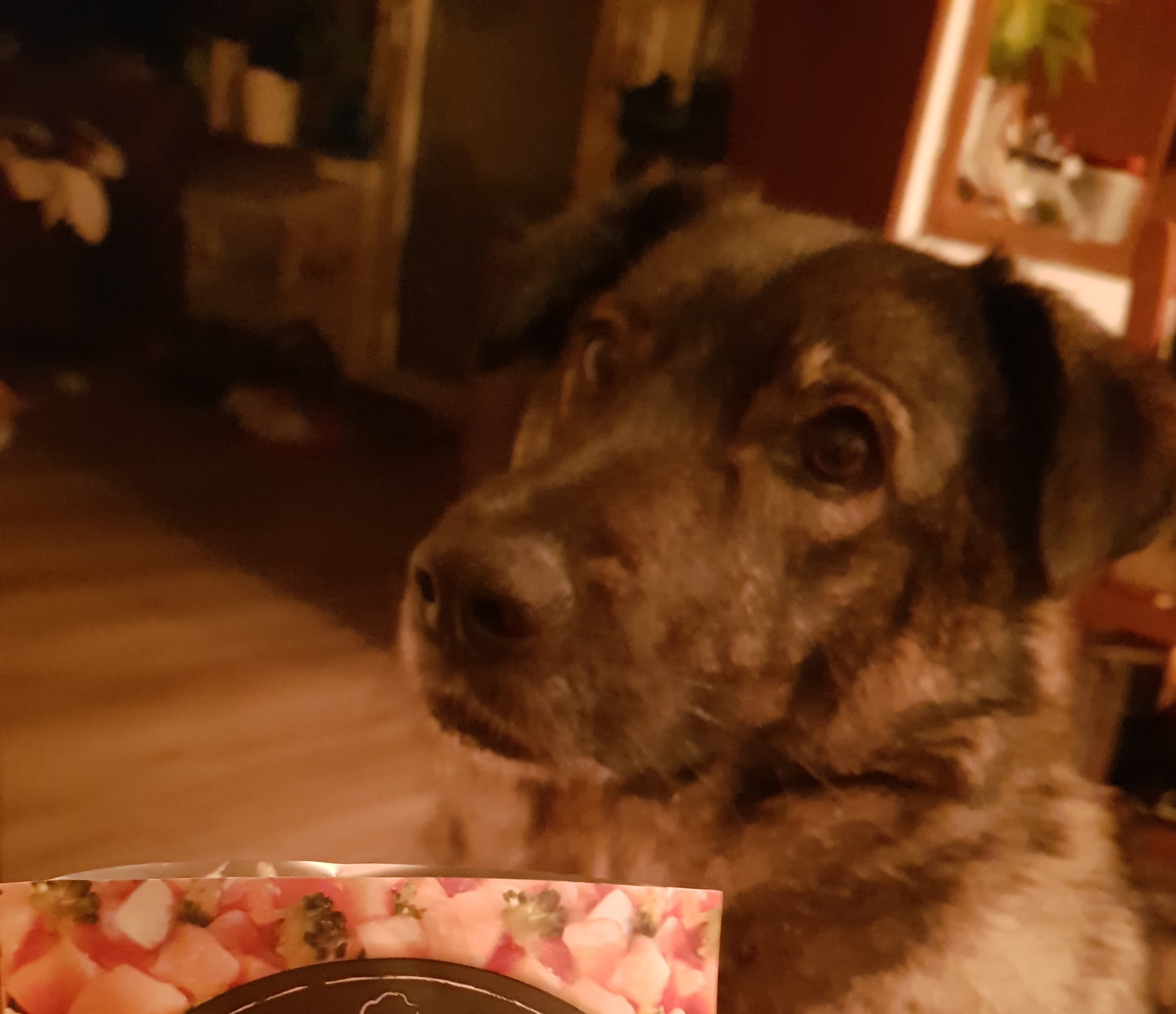 Christina - Belcando