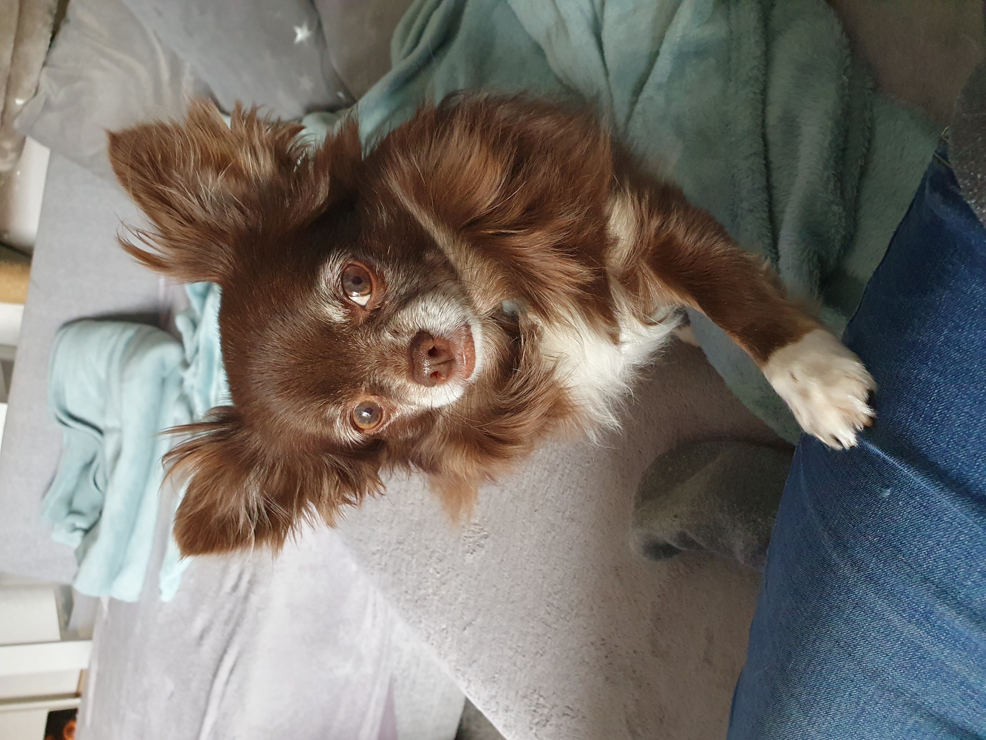 Jacqueline - Platinum