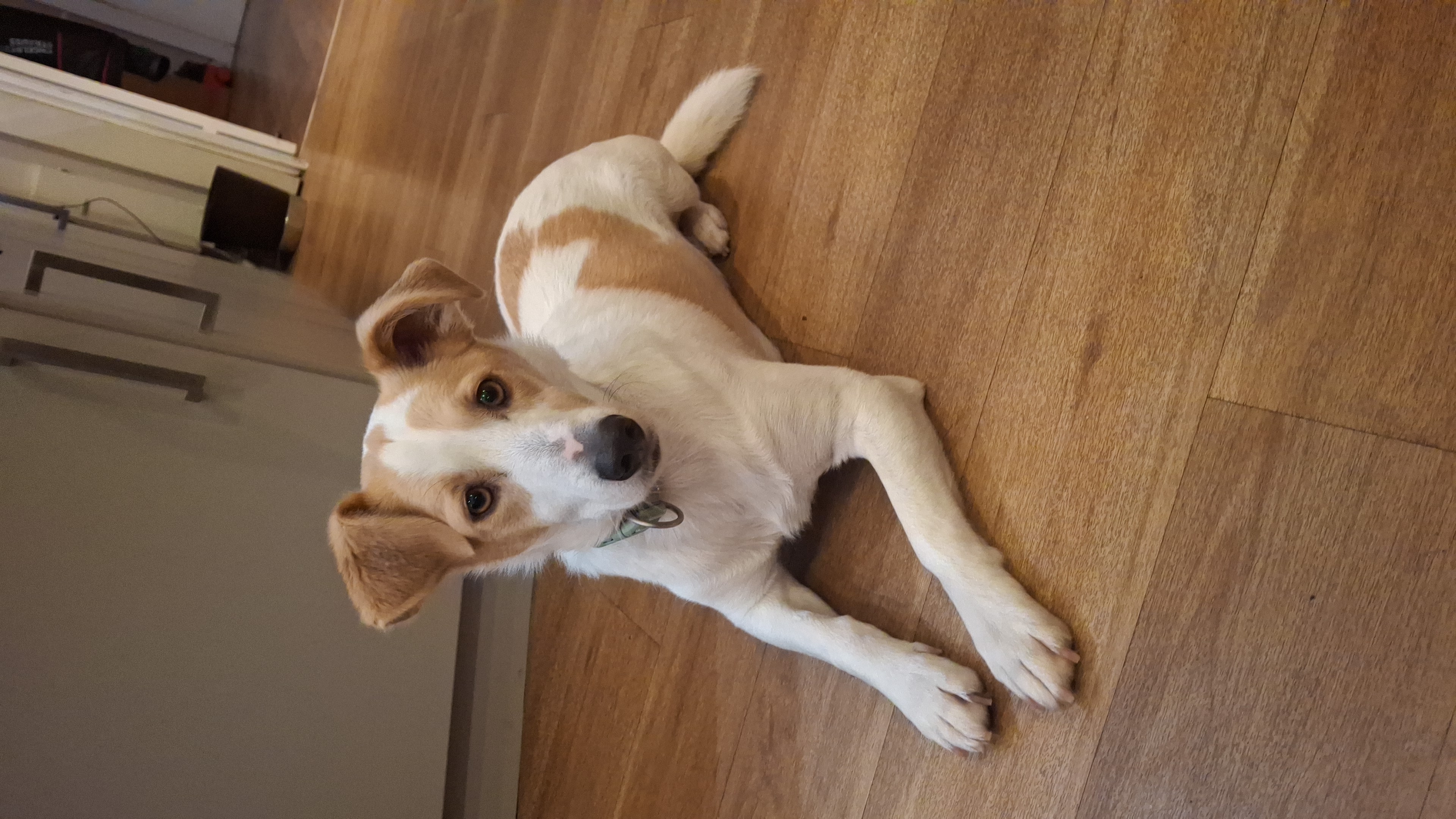 Ann-Kathrin - Platinum