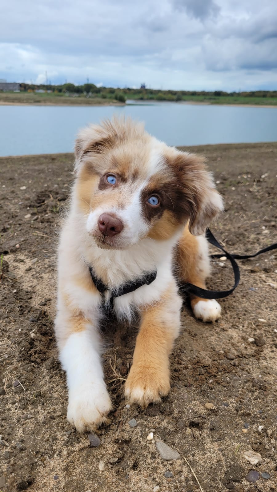 Sonja - THE GOODSTUFF