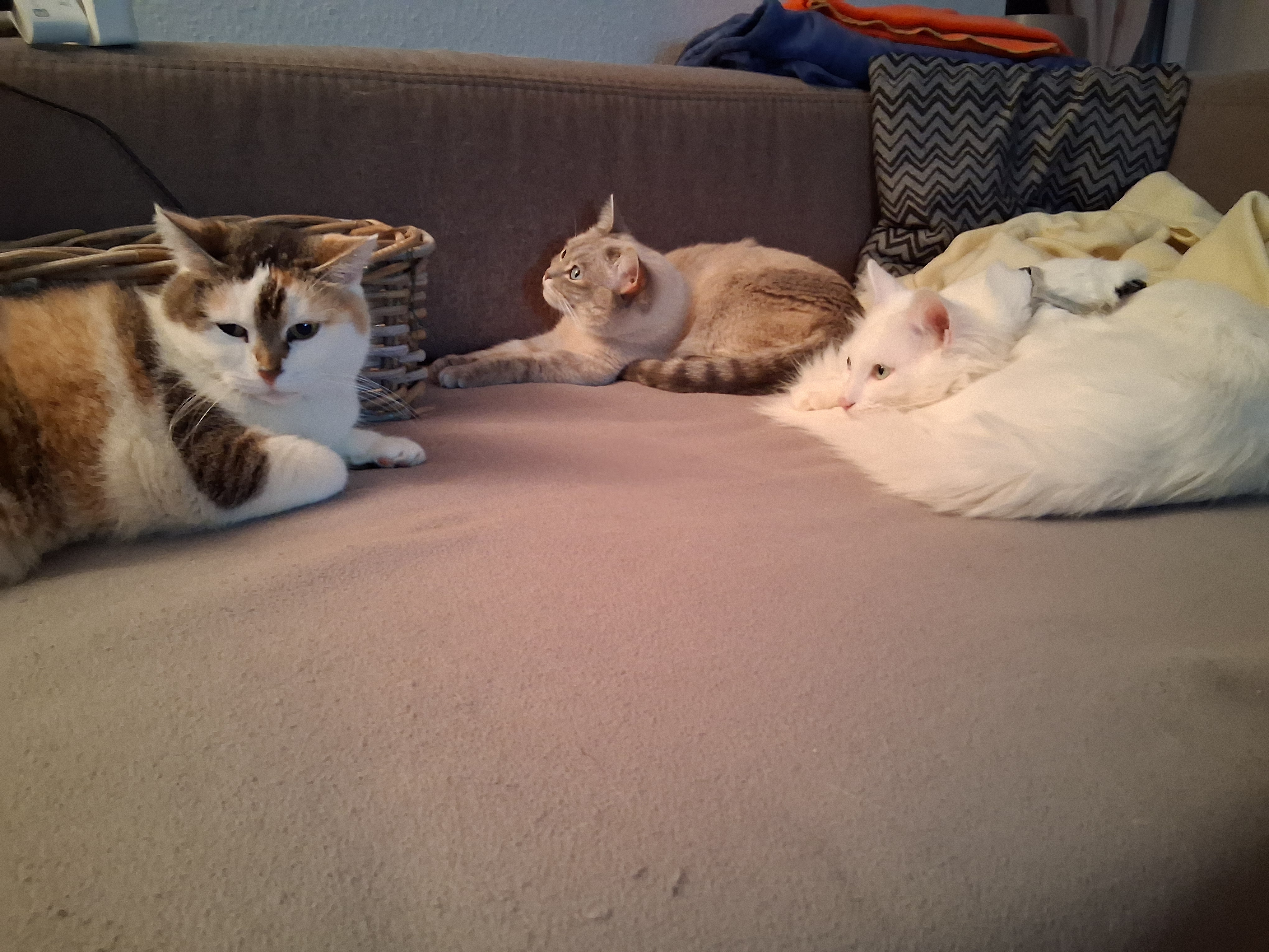 Claudia Gabriele - Platinum