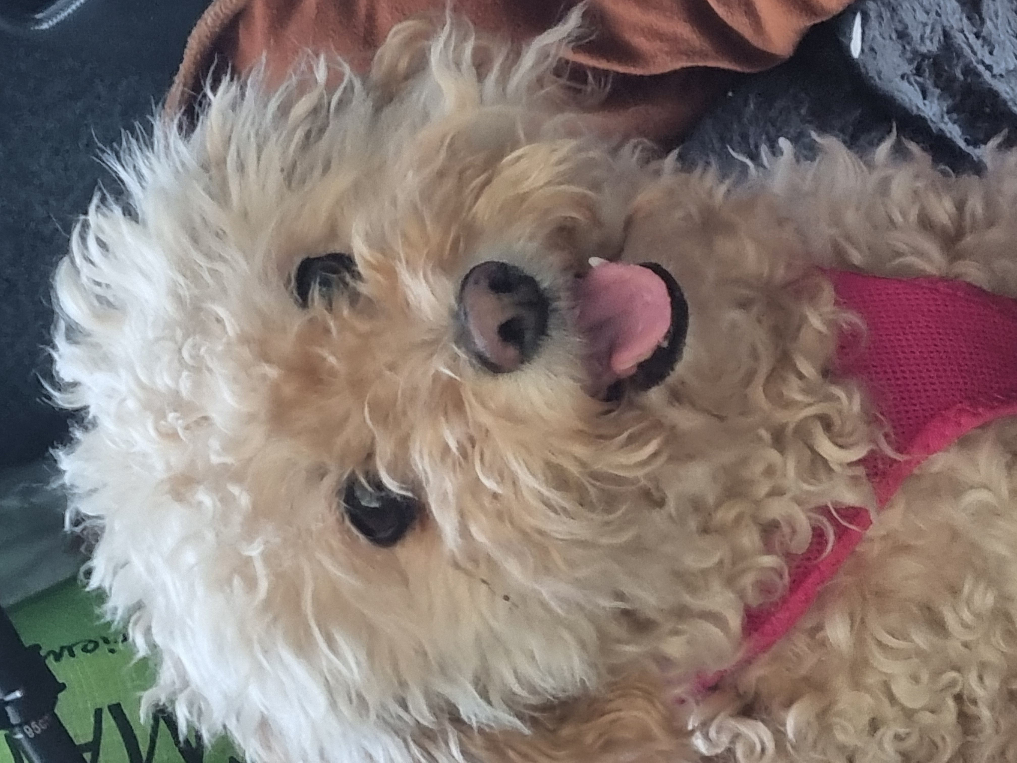 Christine - THE GOODSTUFF