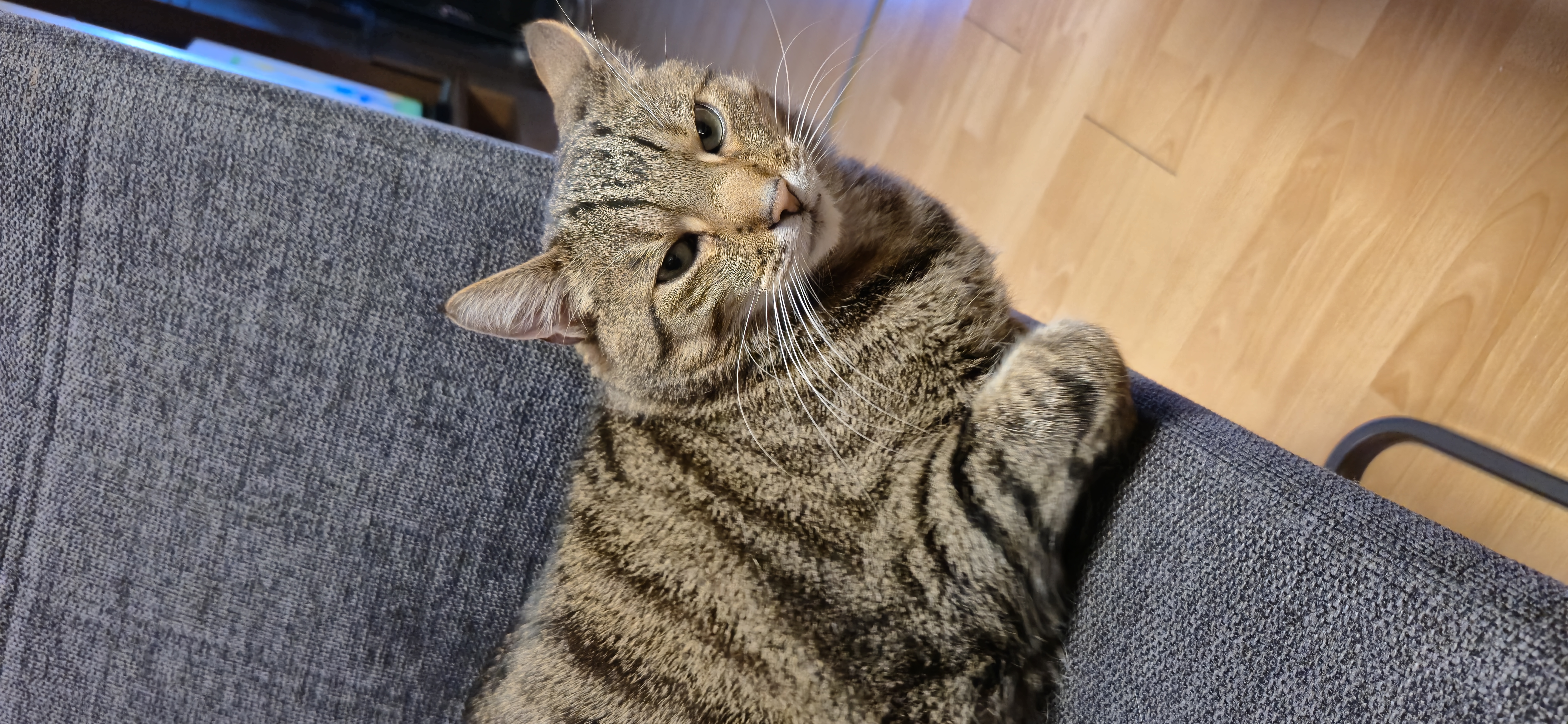 Sabrina - Wildes Land