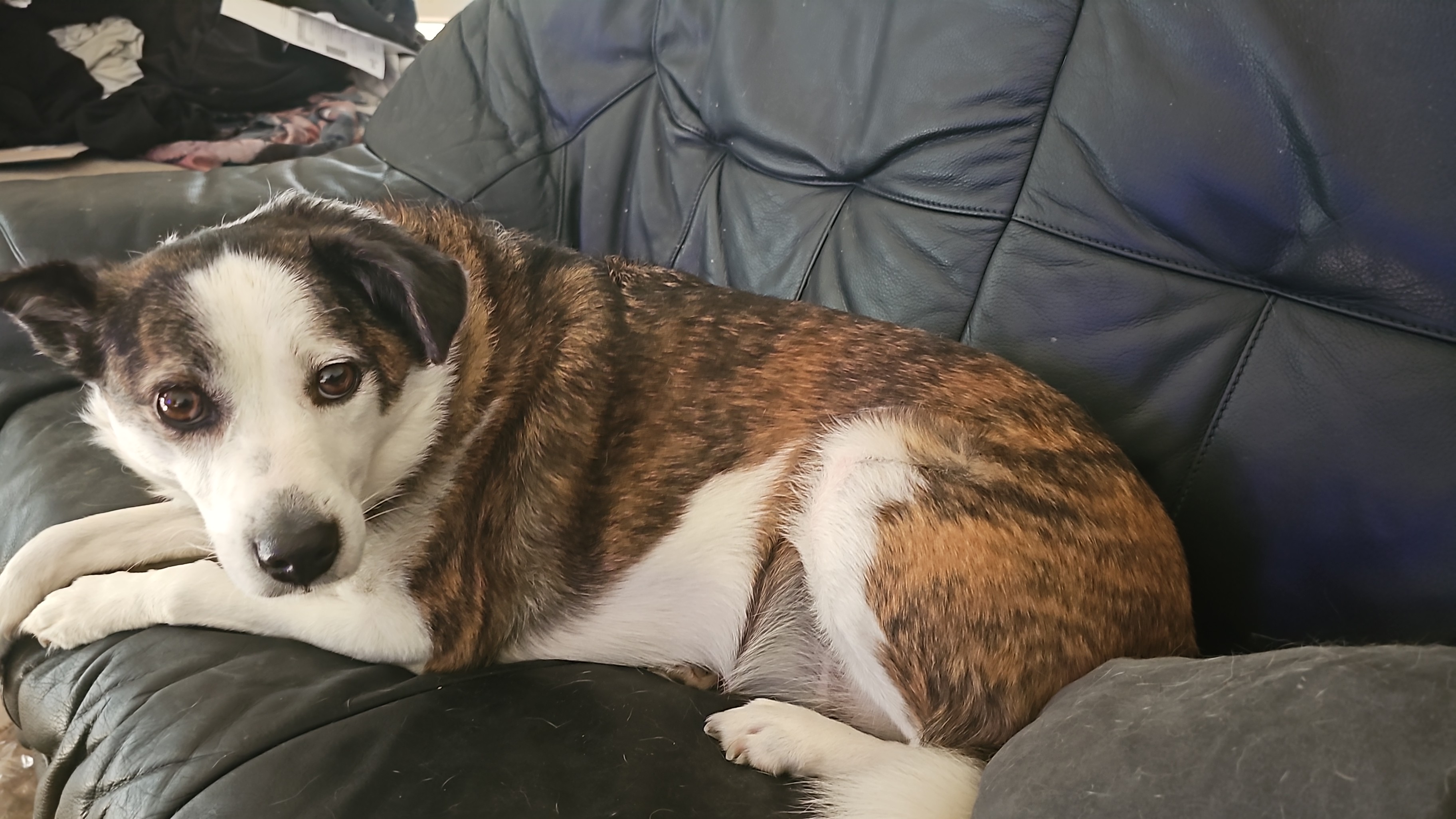 Jochen - THE GOODSTUFF