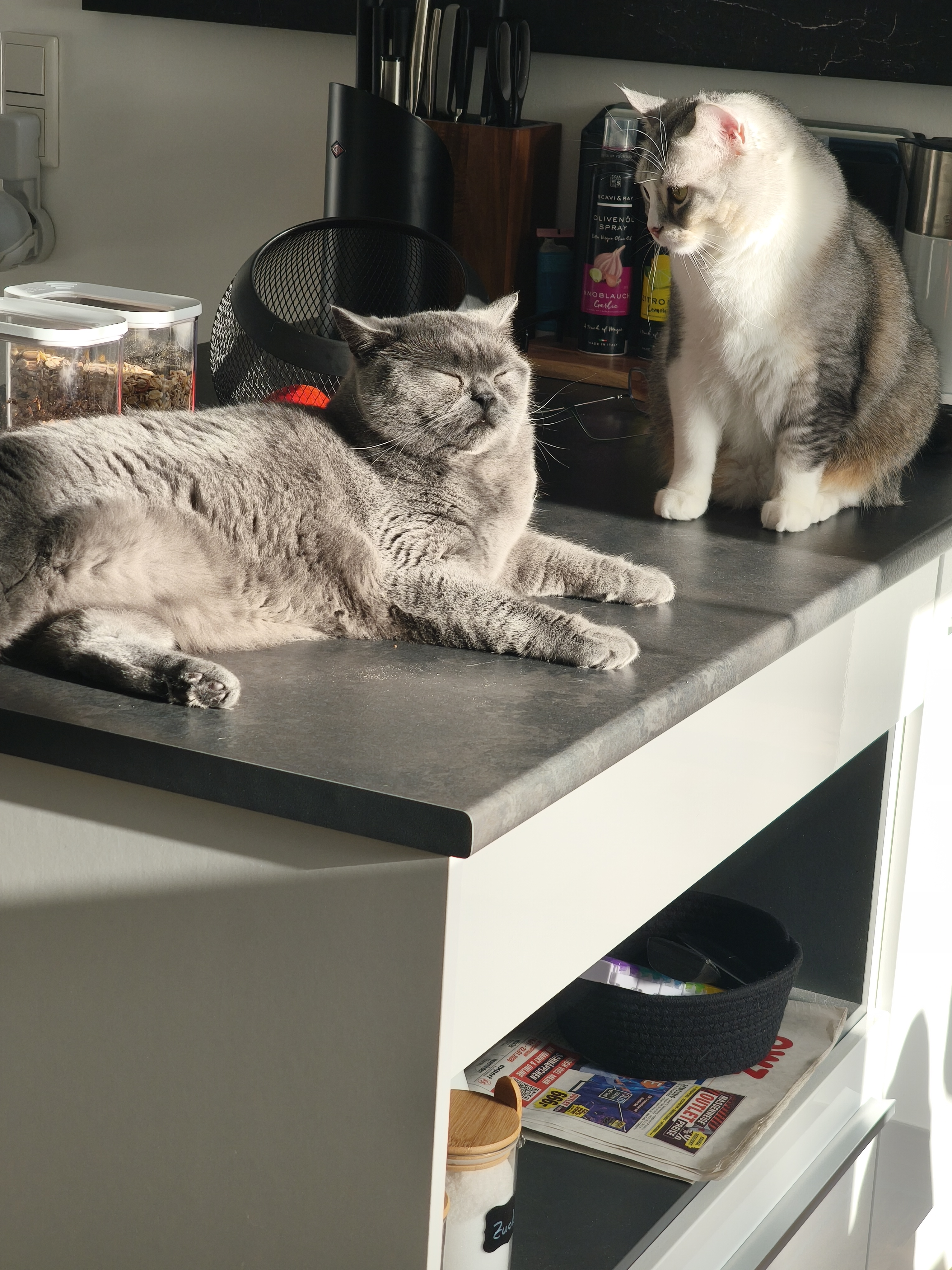 Cornelia Alice - Platinum