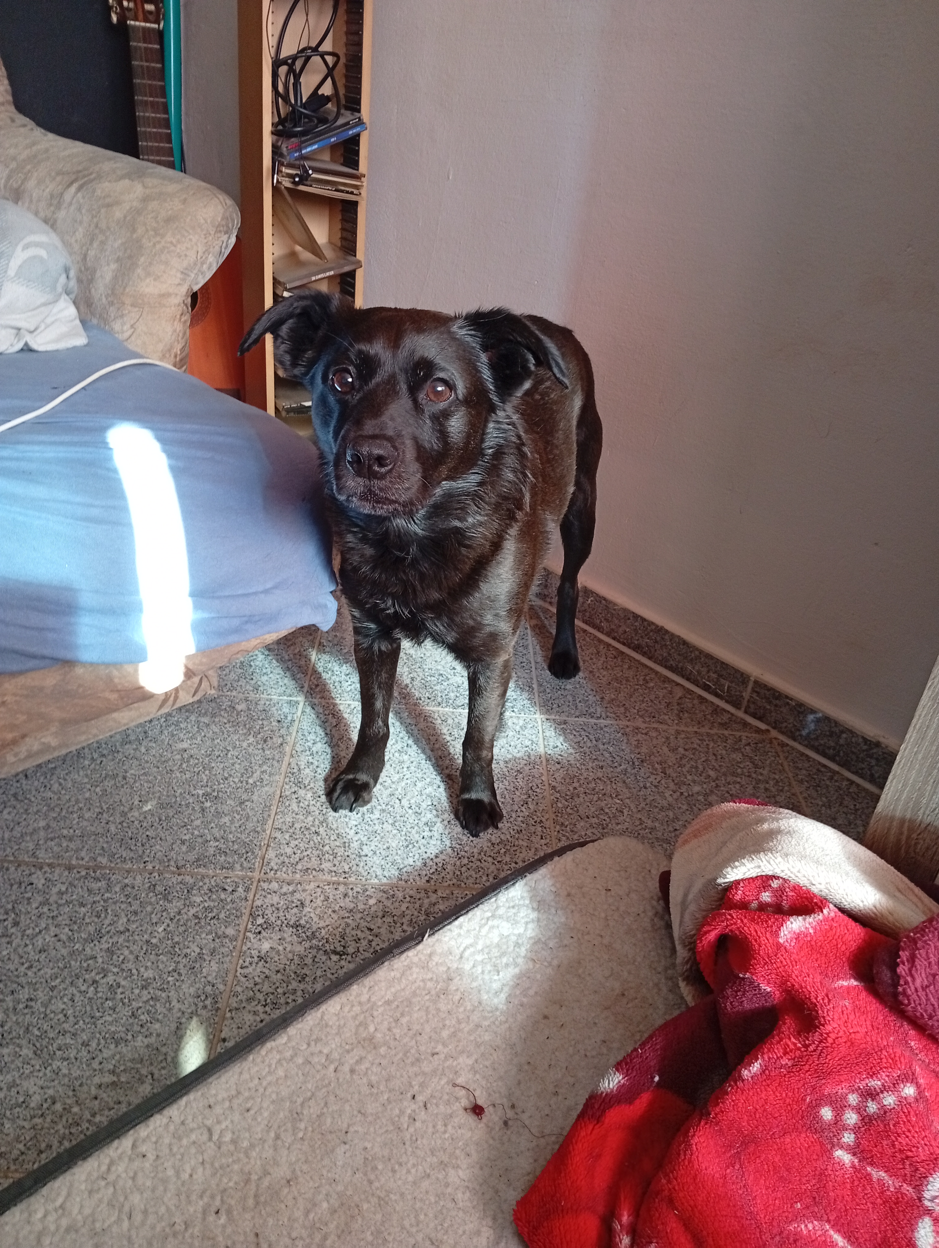 Melanie Messer - Tundra