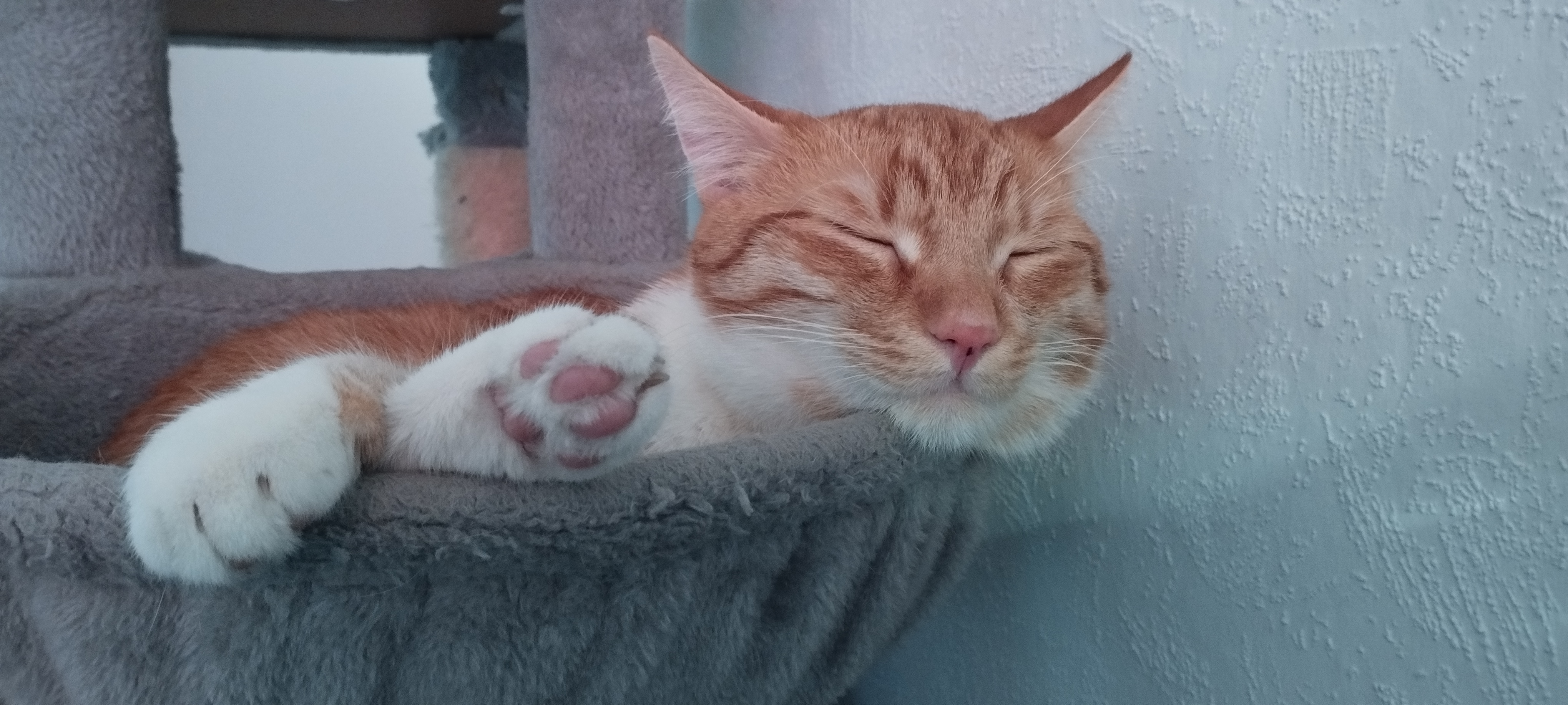 Paul Gerd - Leonardo