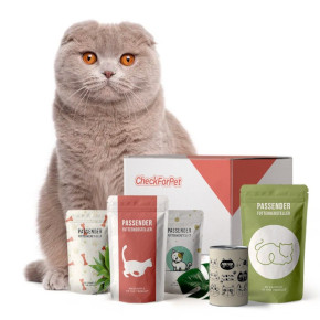 Scottish Fold Katzenfutter